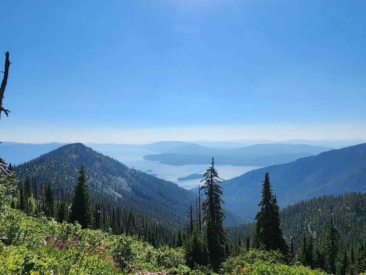 Strong Creek OHV Route trail photo
