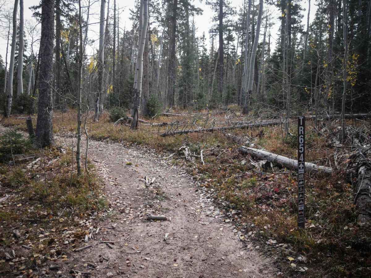 Middle Mountain photo 6