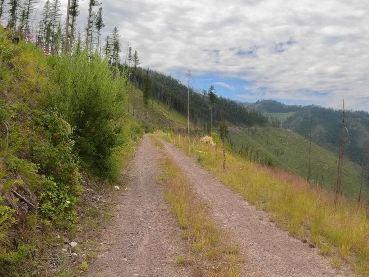 Cougar Creek Loop photo 5