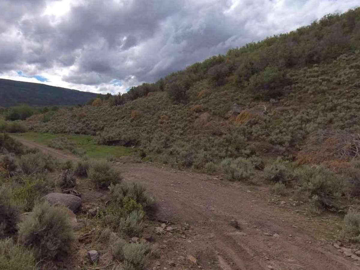 Rose Meadows- FS 40058 photo 2