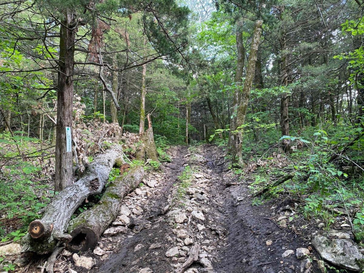 Brad's Breakdown trail photo