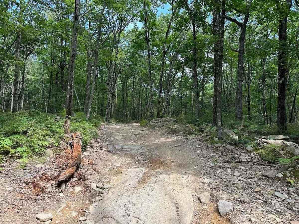 32 Blue trail photo
