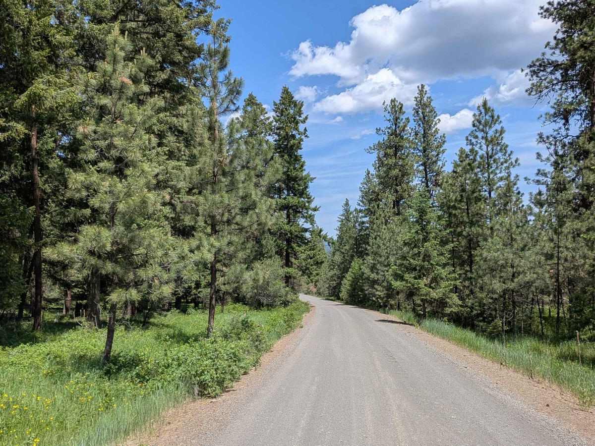 Wellamockin Road South NF46 photo 2