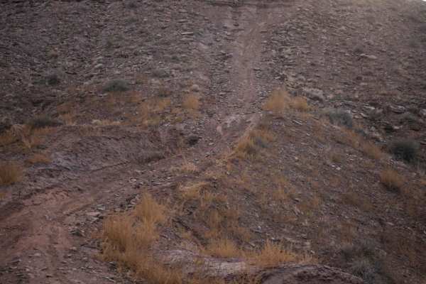 Dee Flat Trail