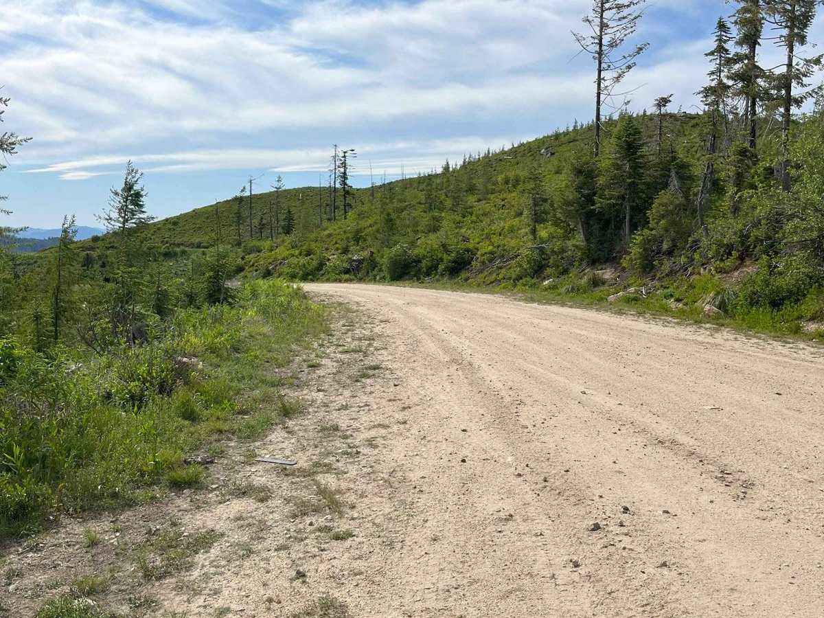 Bovill - Hemlock Butte photo 3