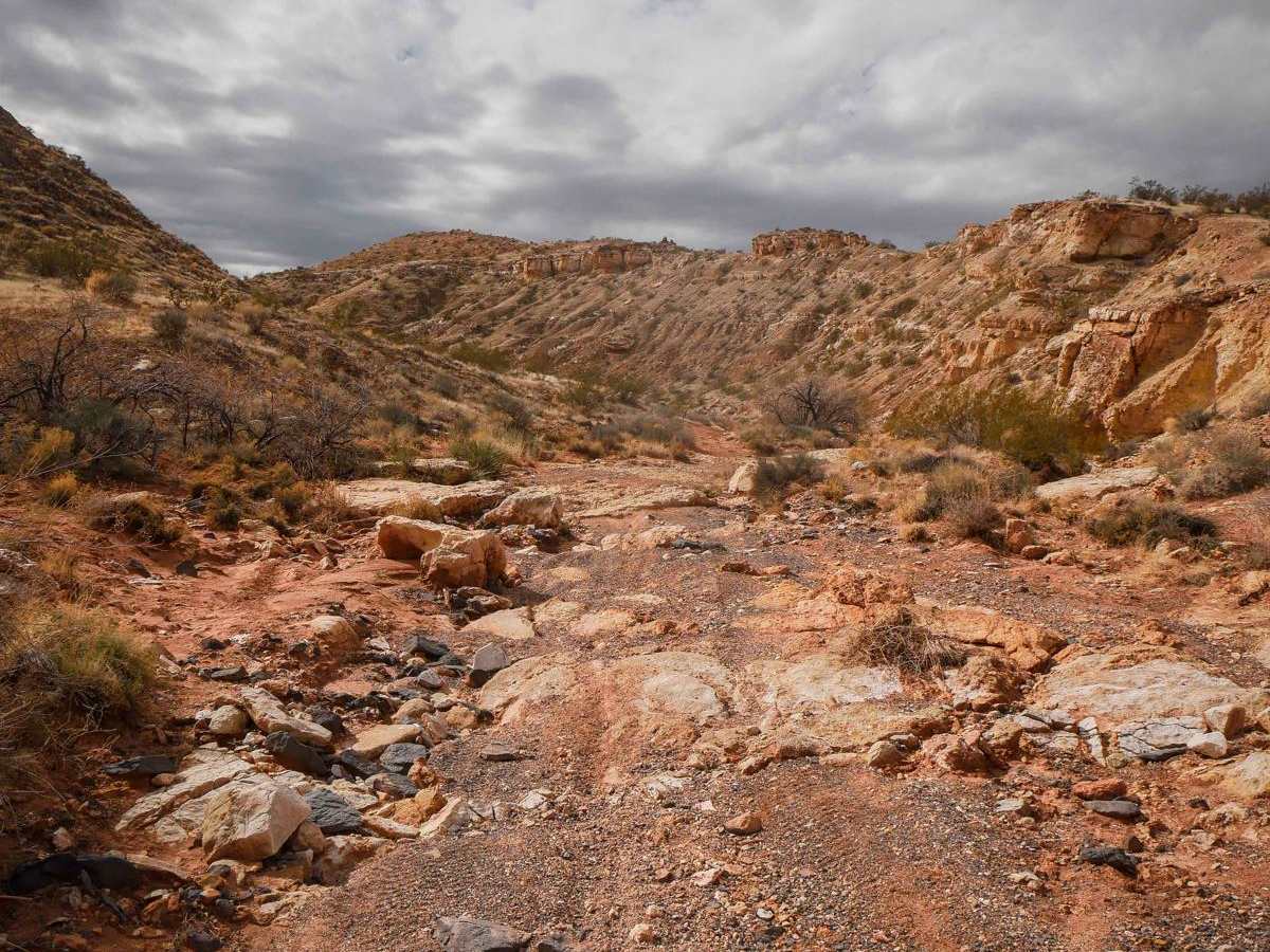 2030 ATV photo 3