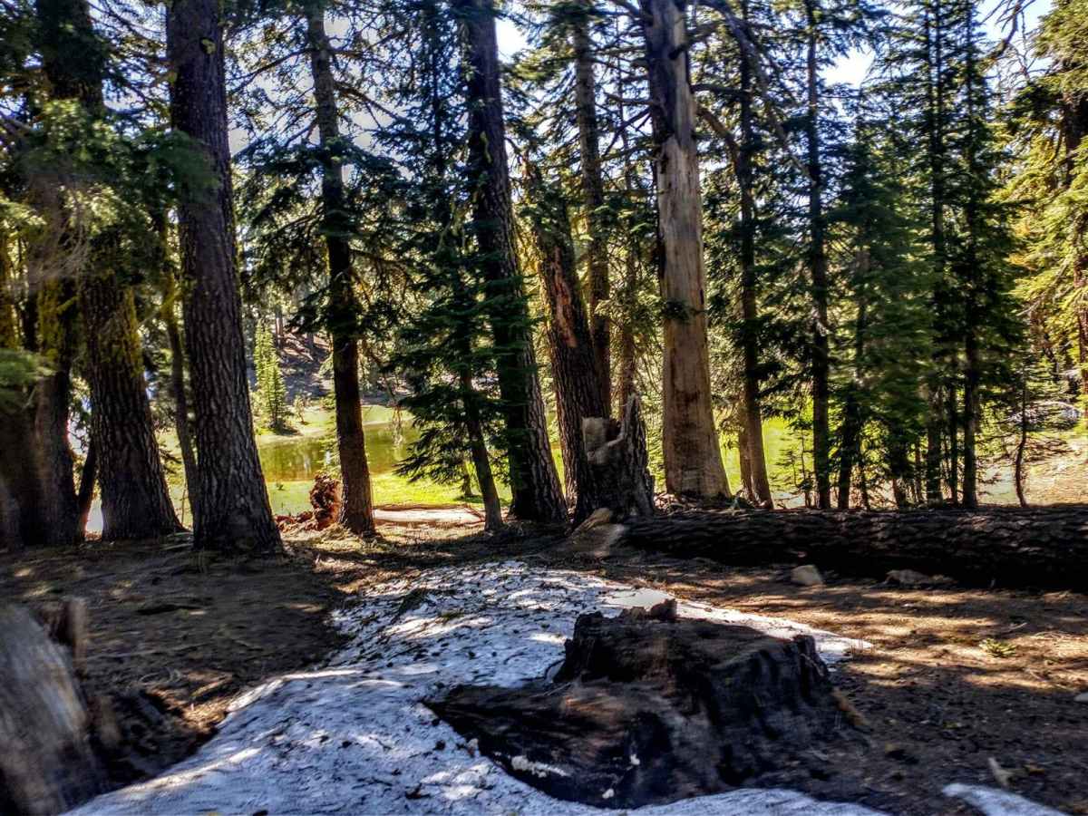 Ellis Lake Trail photo 2