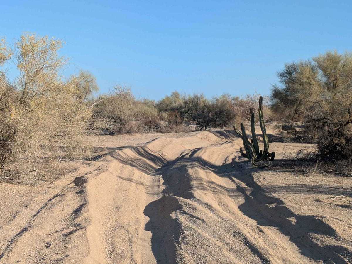 The Cortez Sand Trail photo 2