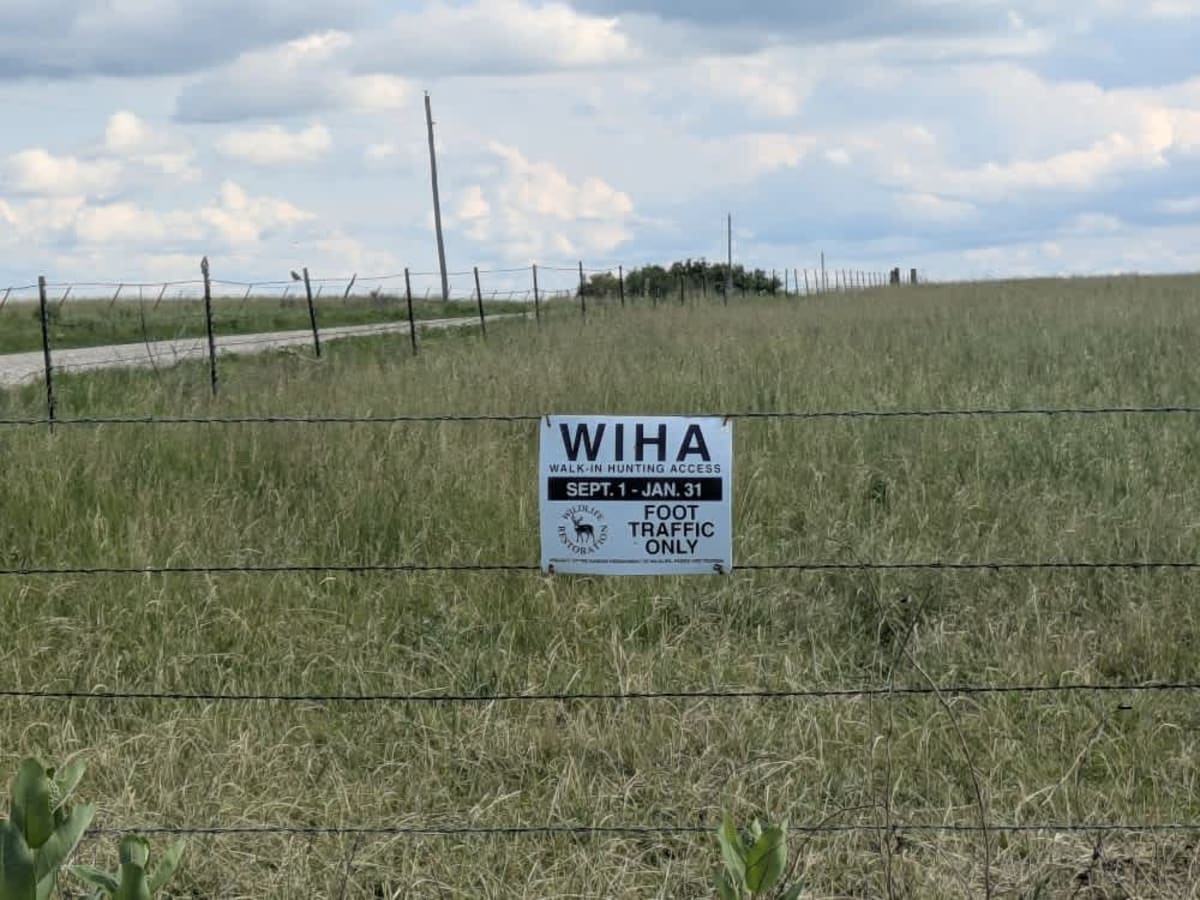Road 310 photo 3