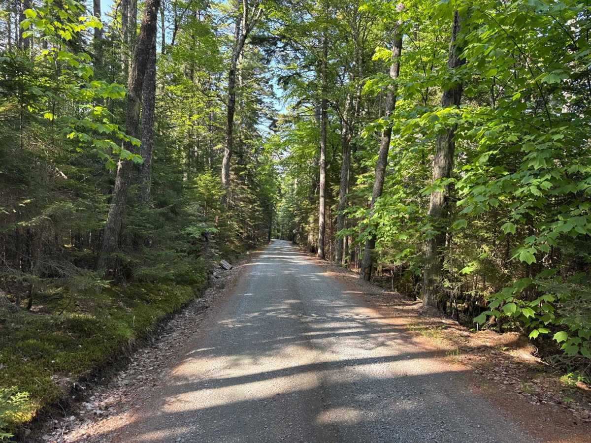 Western Mountain Road trail photo