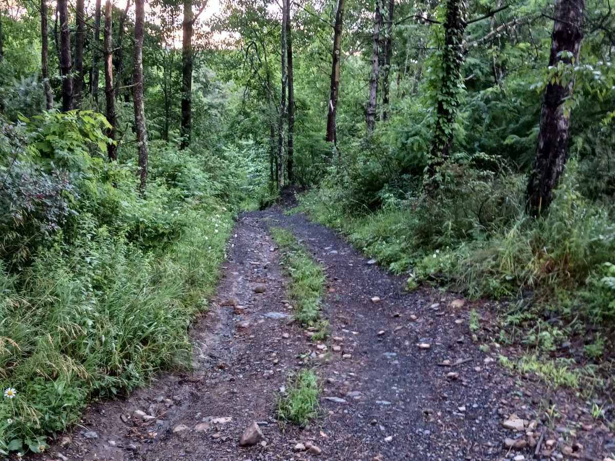 Trail 12L - Rock Run Recreation Area photo 6