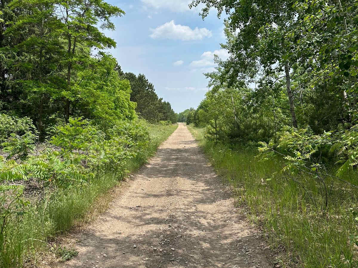 Rail Trail Part 3 trail photo
