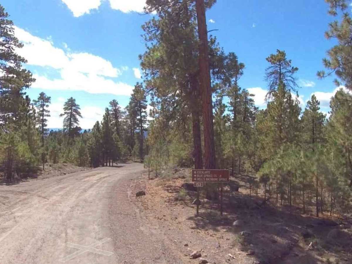 Pine Creek Road FS 30153 photo 2