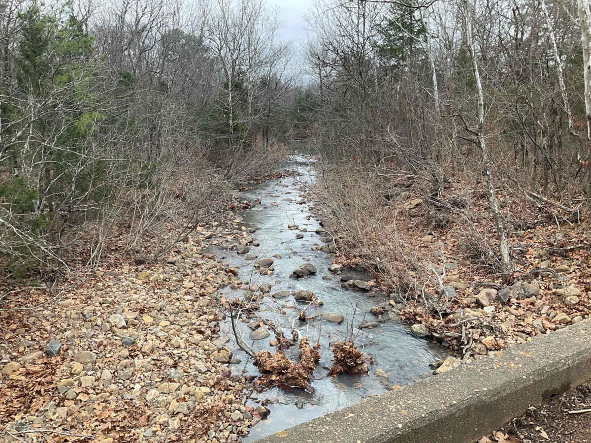 Tram Ridge Trail photo 5