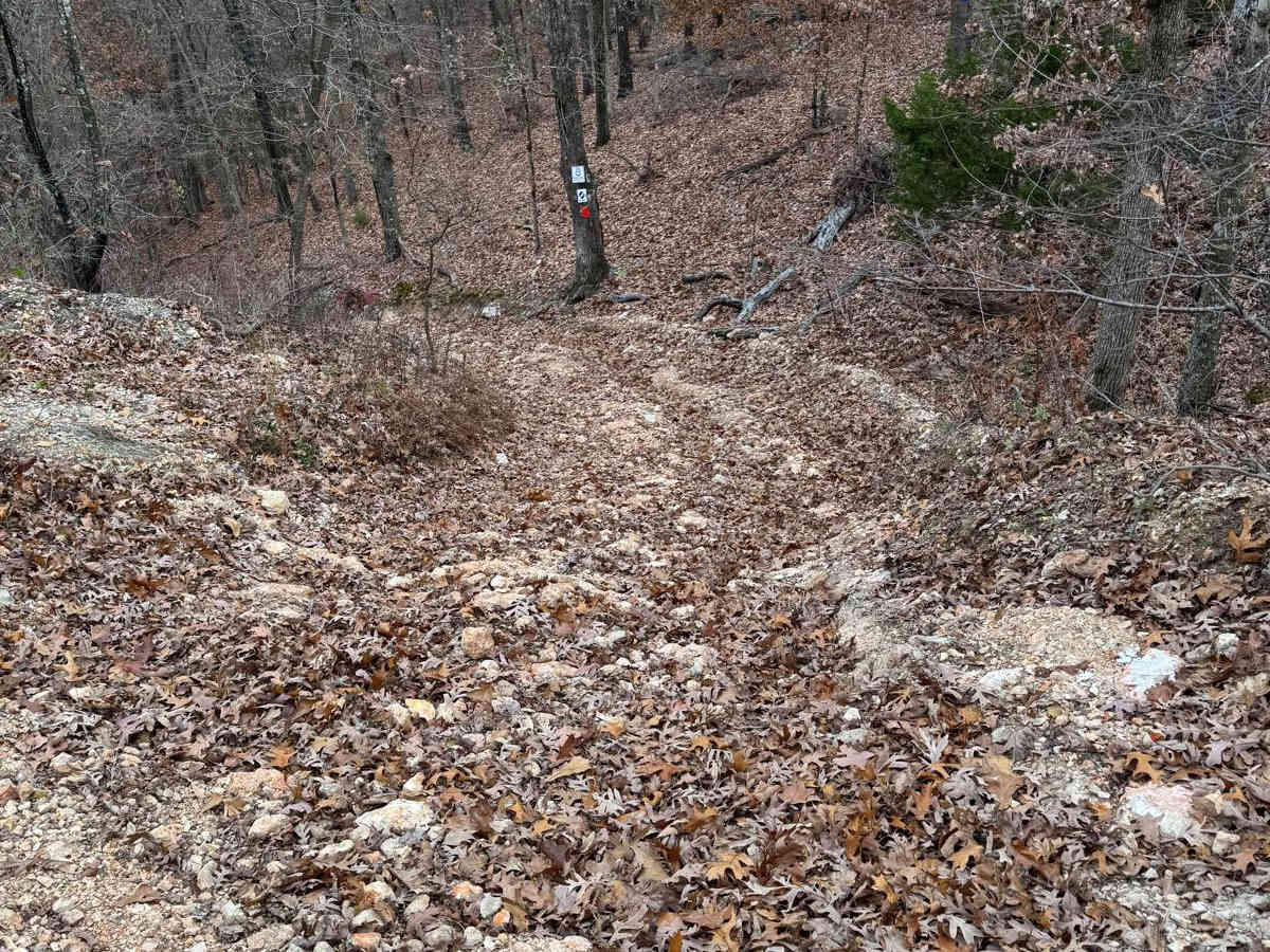 Arch Cave Cliff Drive - 274 trail photo