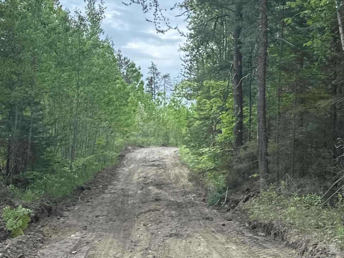FS 510 to Ozark photo 2