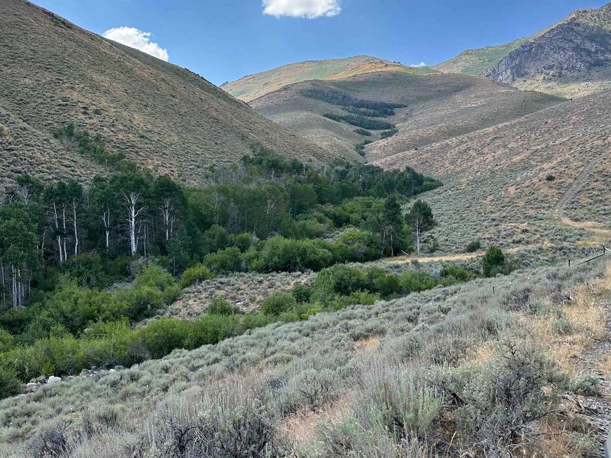 Abel Creek photo 3