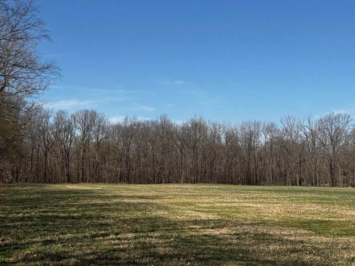 Camp Loop 2 photo 3