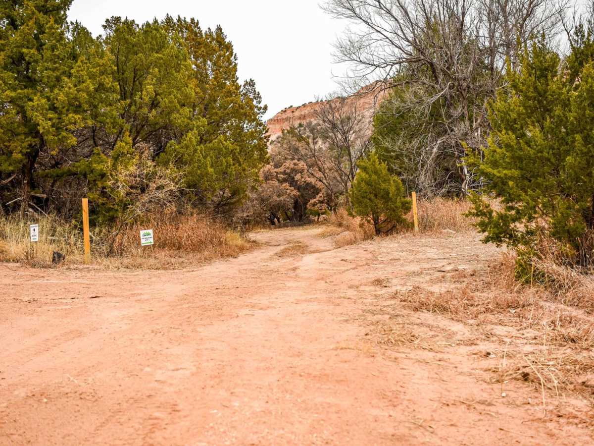 The Meadows Camp Trail photo 2