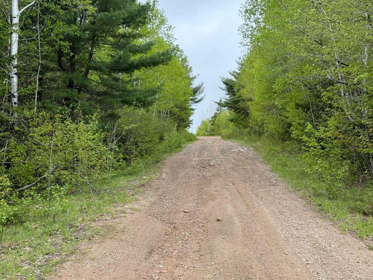 Butler Road photo 5