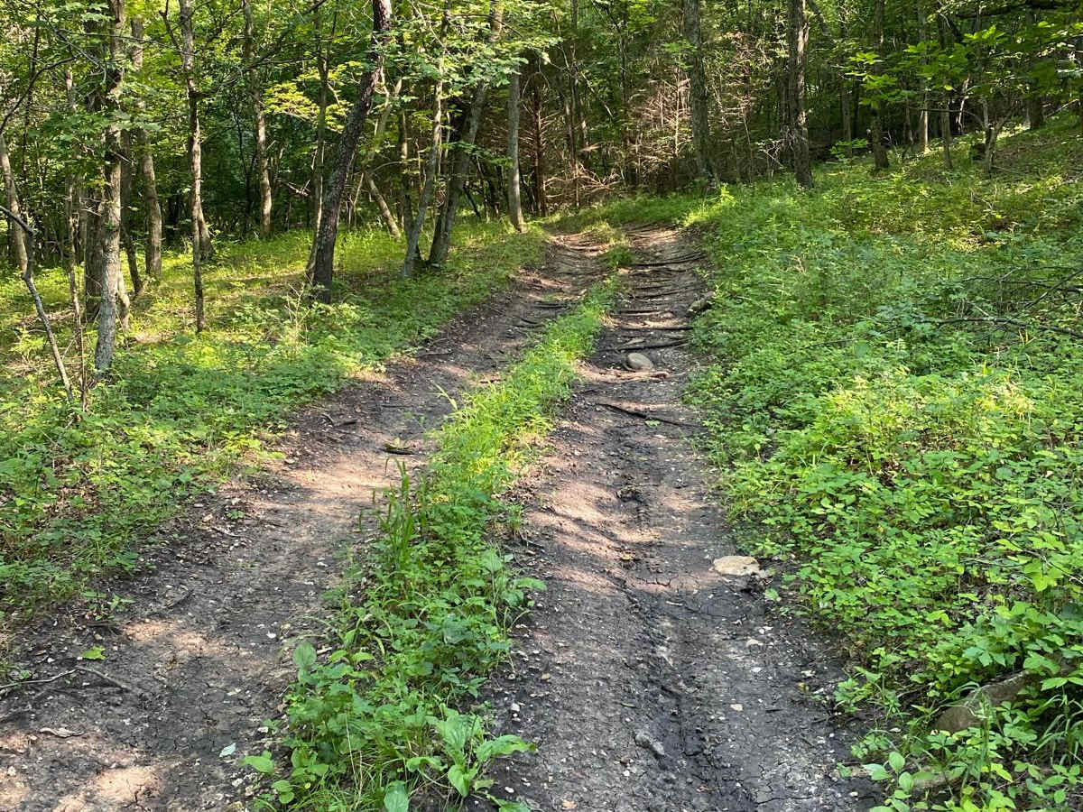 Fisher Hook trail photo