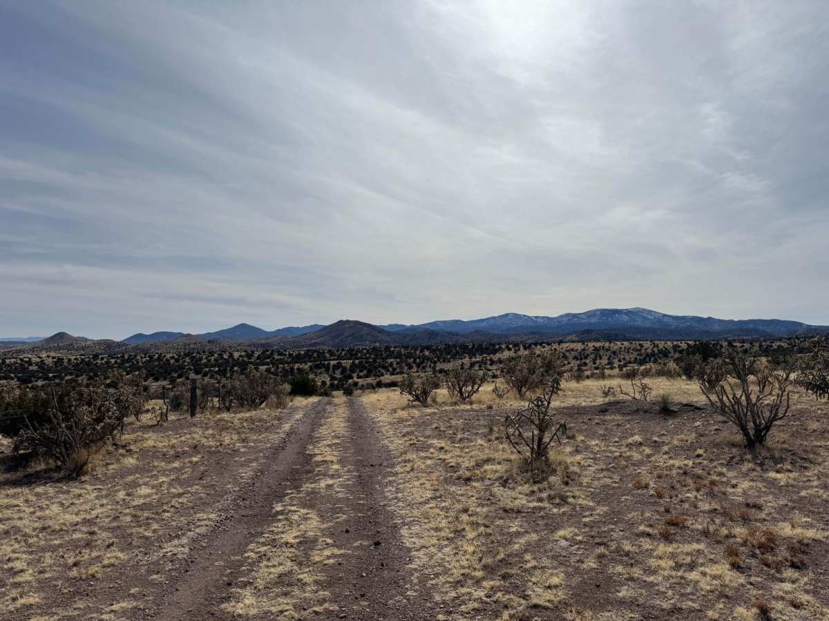 FR1026 photo 2