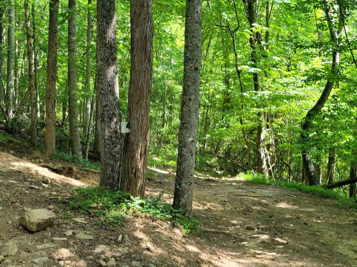 4 - Mars trail photo