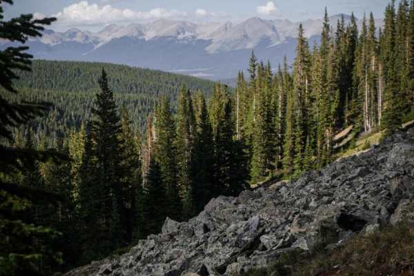 Gold Creek (South)