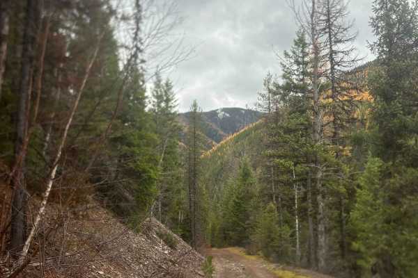 Old Highway 2
