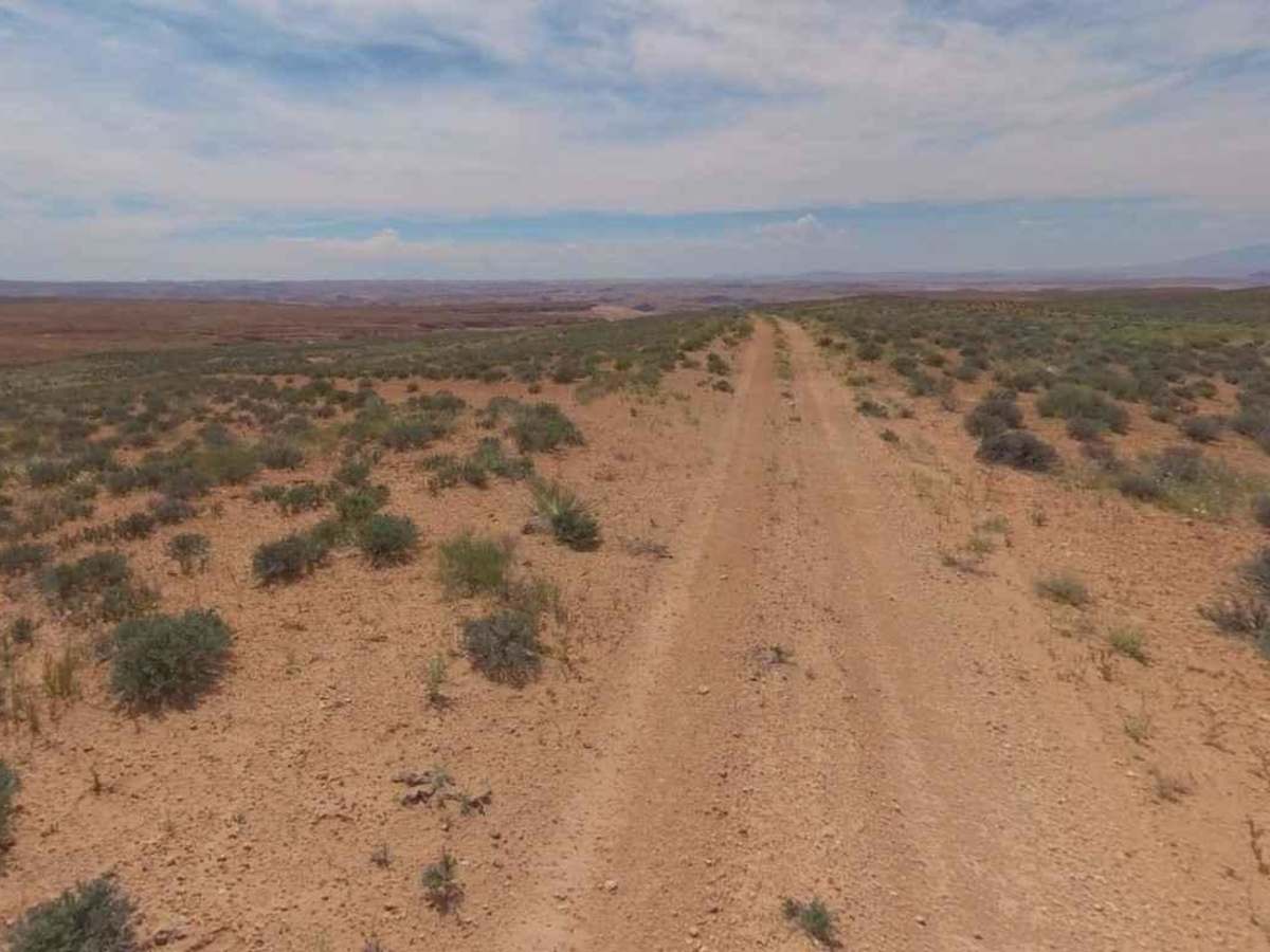 BLM13430 photo 4
