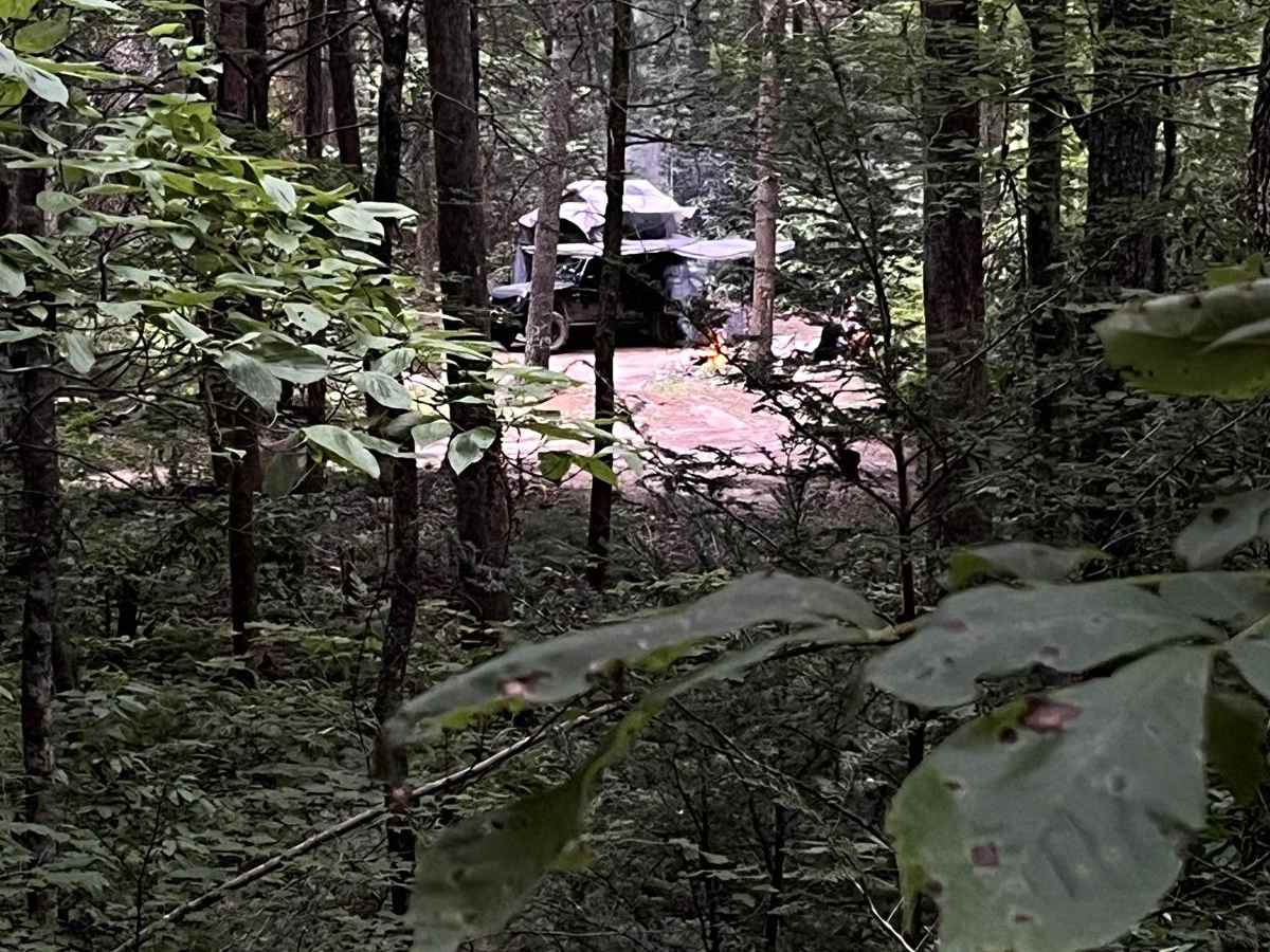 Clear Creek (FSR 185) trail photo