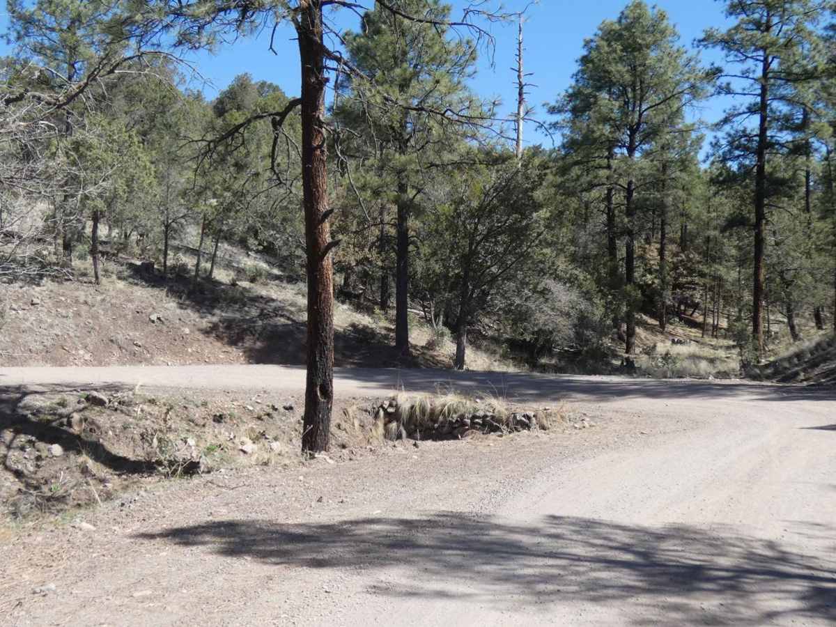 North Star - Sapillo to Chloride Canyon photo 4