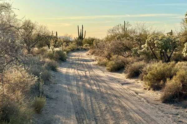 Bogard Boulevard