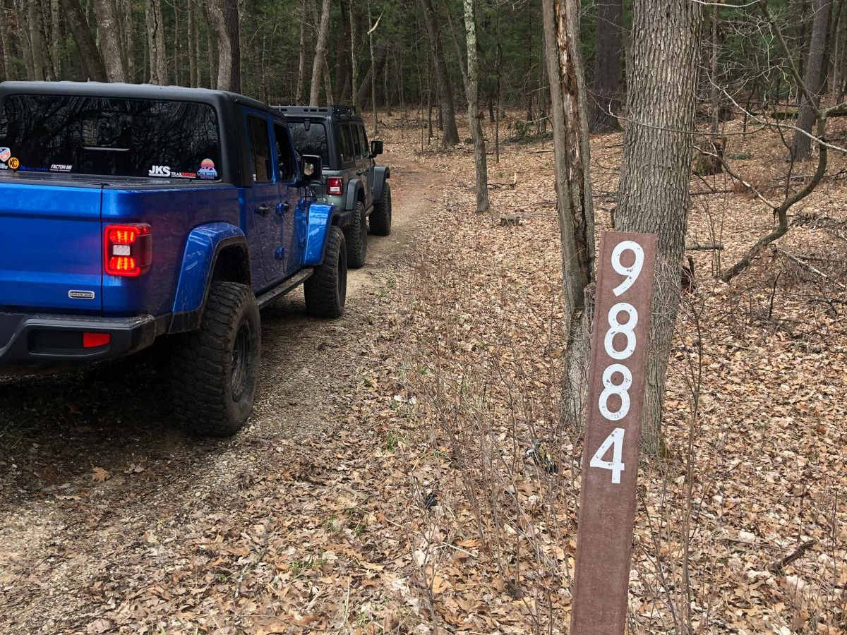 NFS Road 9884 trail photo