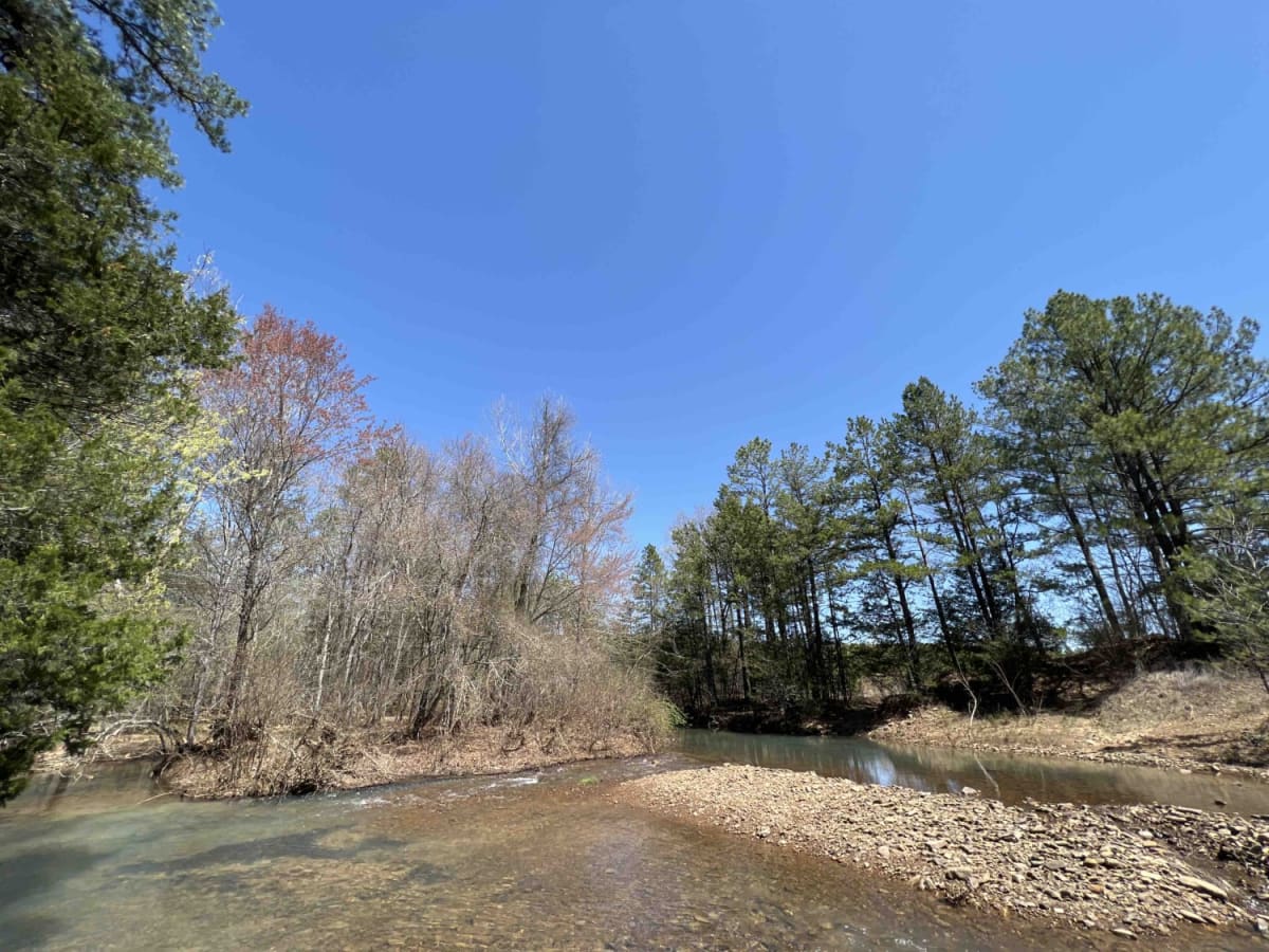 Liberty Springs 1334 photo 5