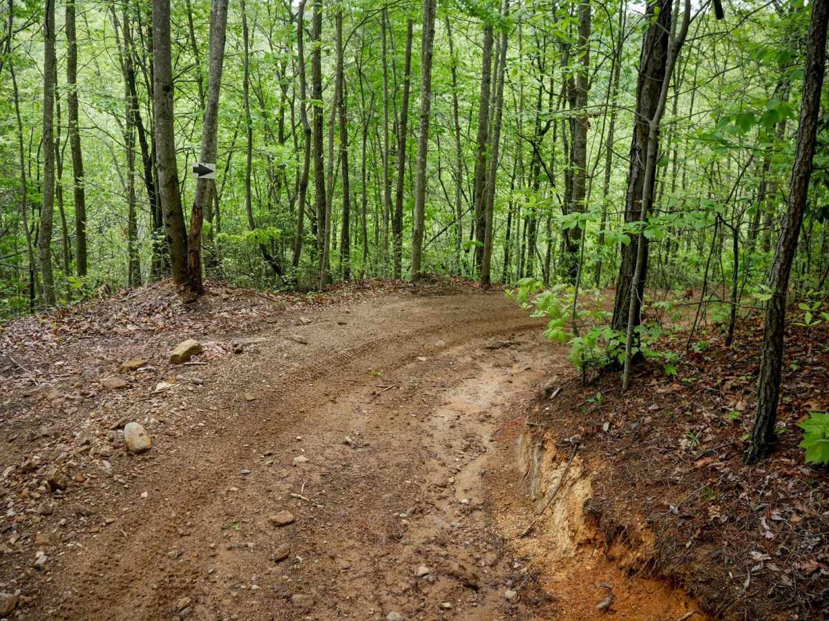 4B trail photo