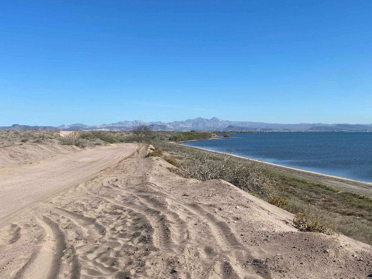 Dunas Del Mogote photo 3