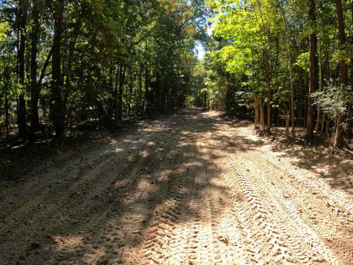 Restoration Trail photo 2
