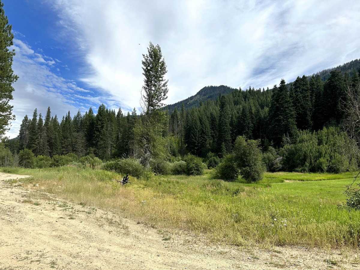 Deer Camp Trail photo 3