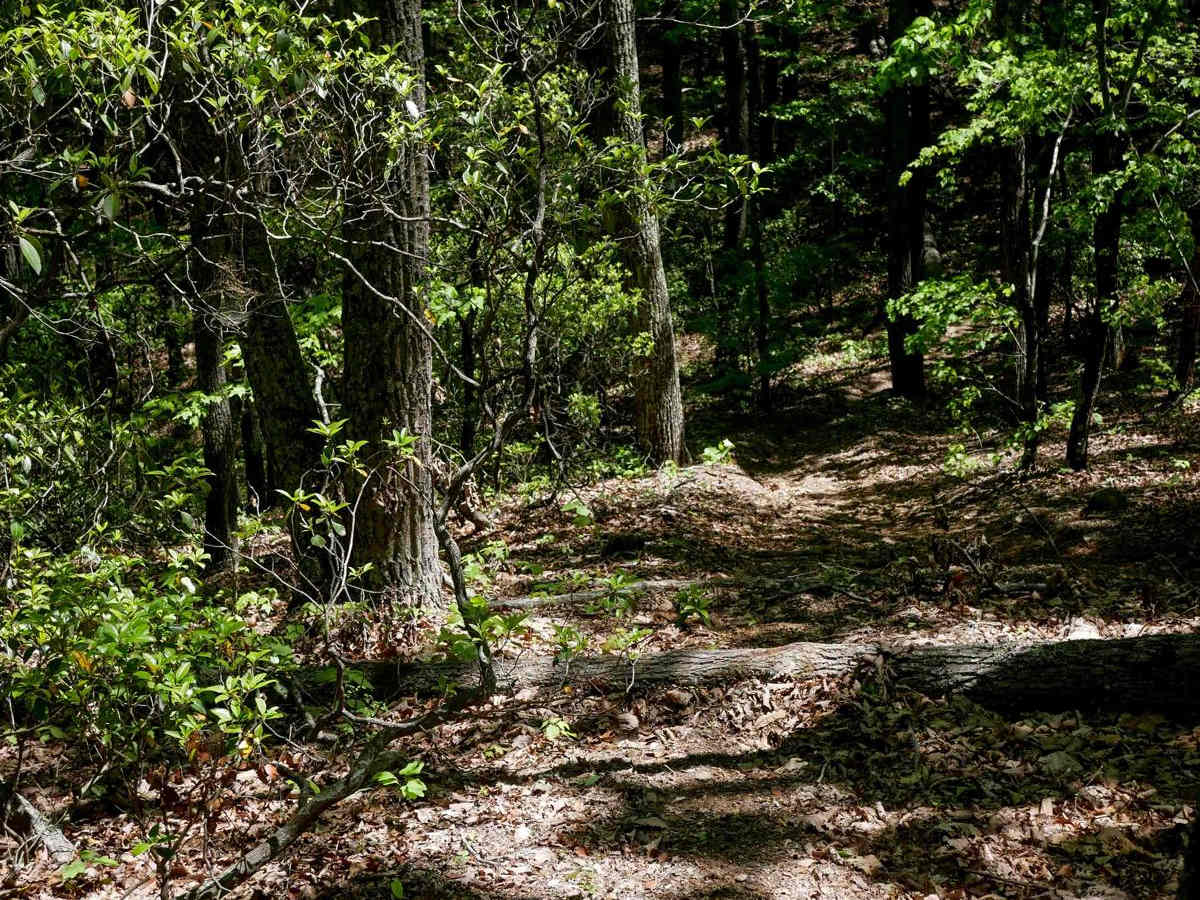 Stage 9 photo 5