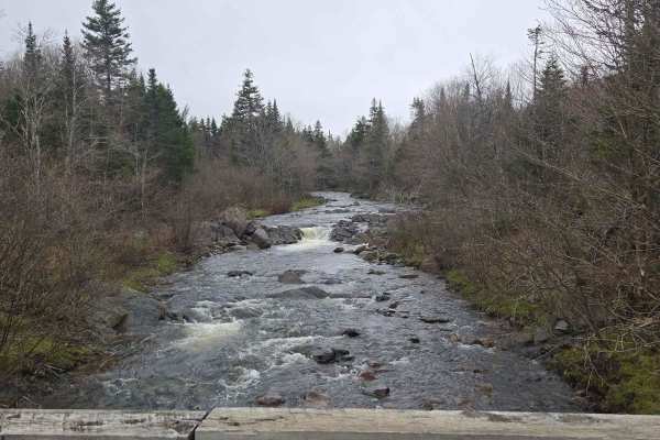 Paterson dam trail