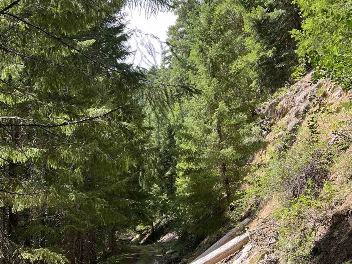 Larison Creek Trailhead Upper 1202-101 photo 4