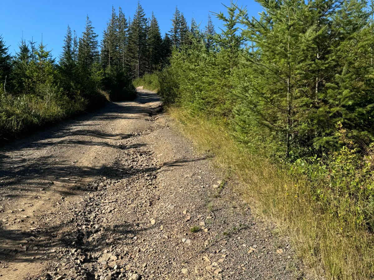 Poison Gulch Run photo 6