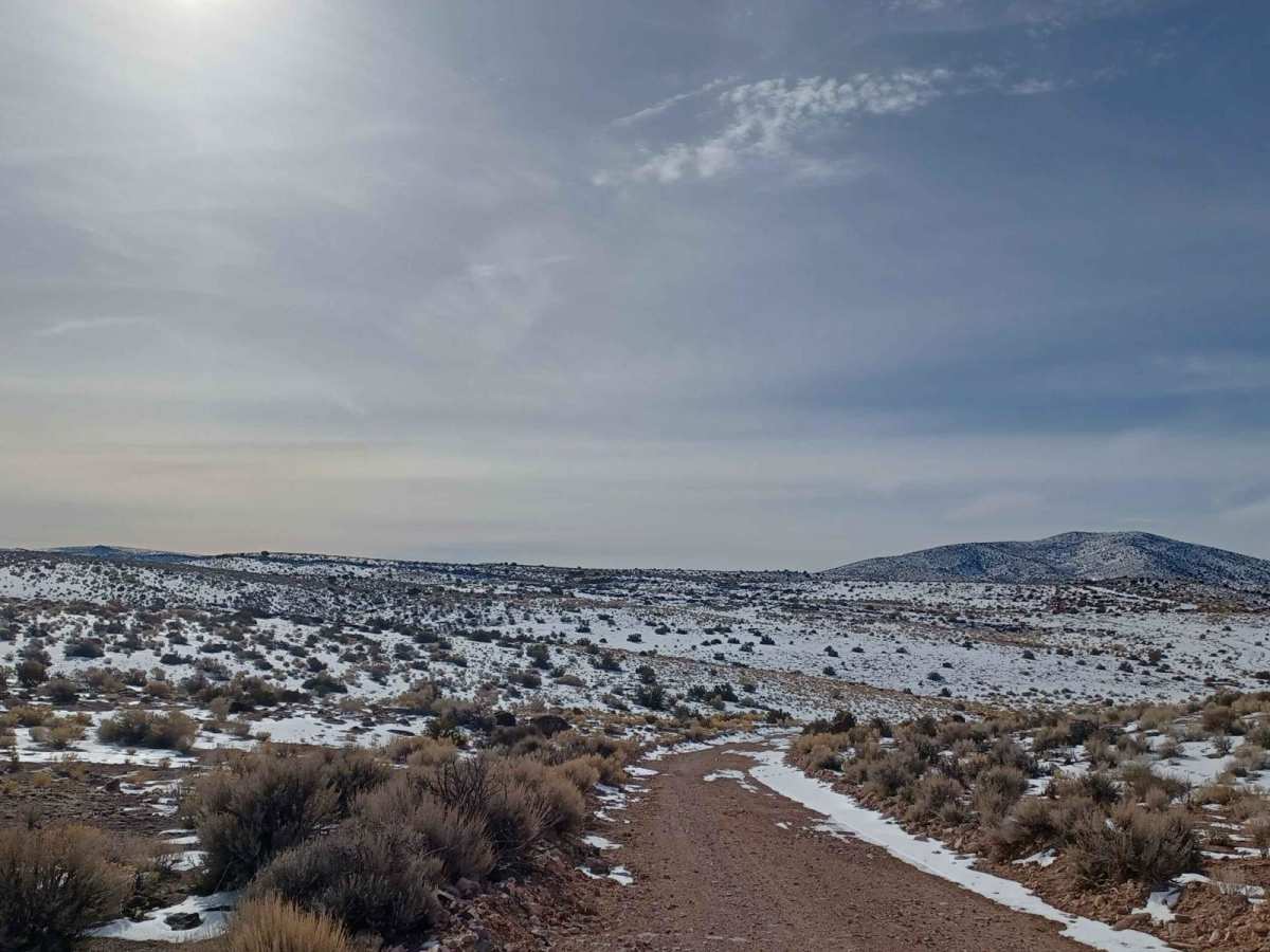 Bird Springs Road photo 6