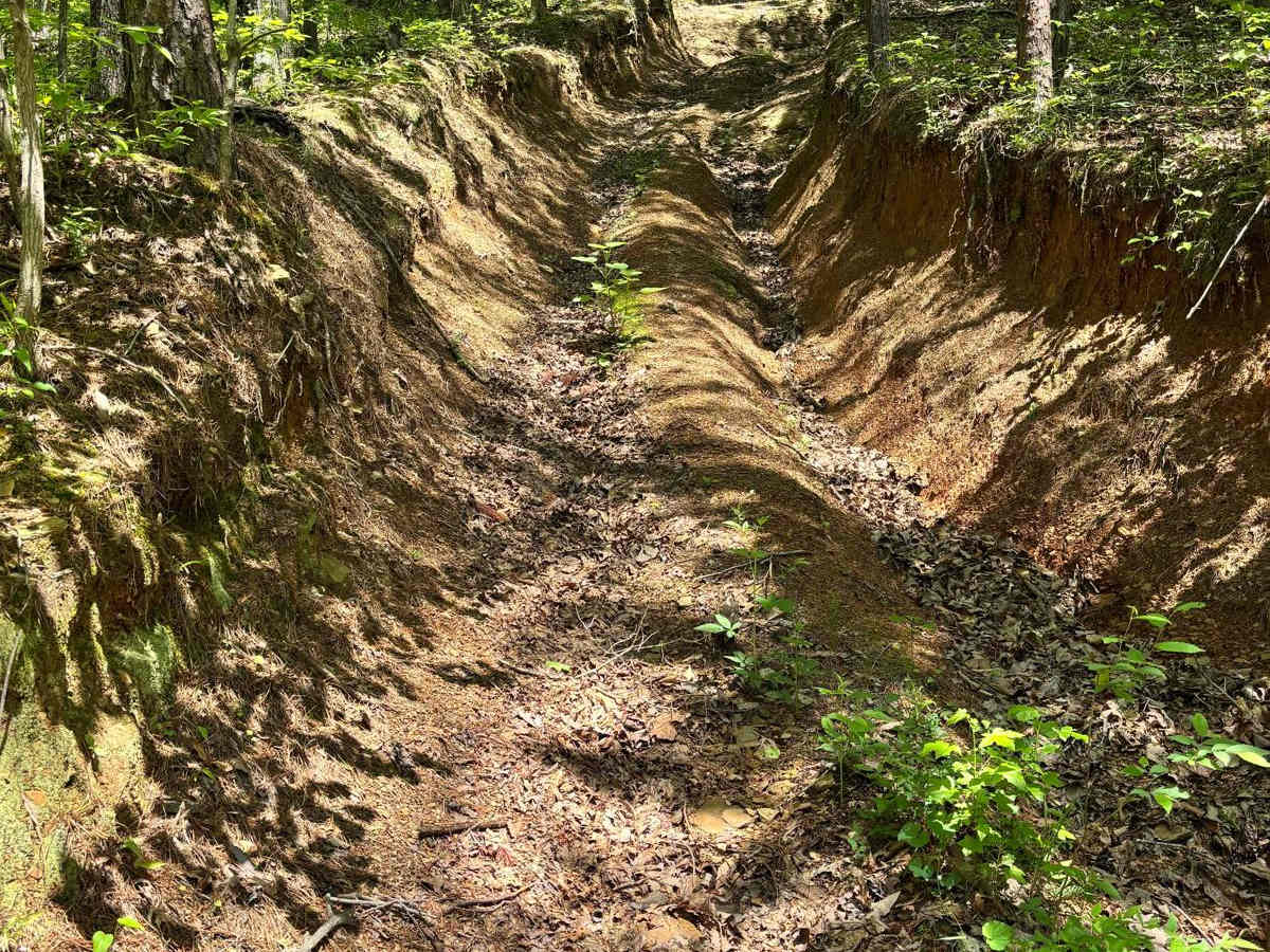 Axel Hill trail photo