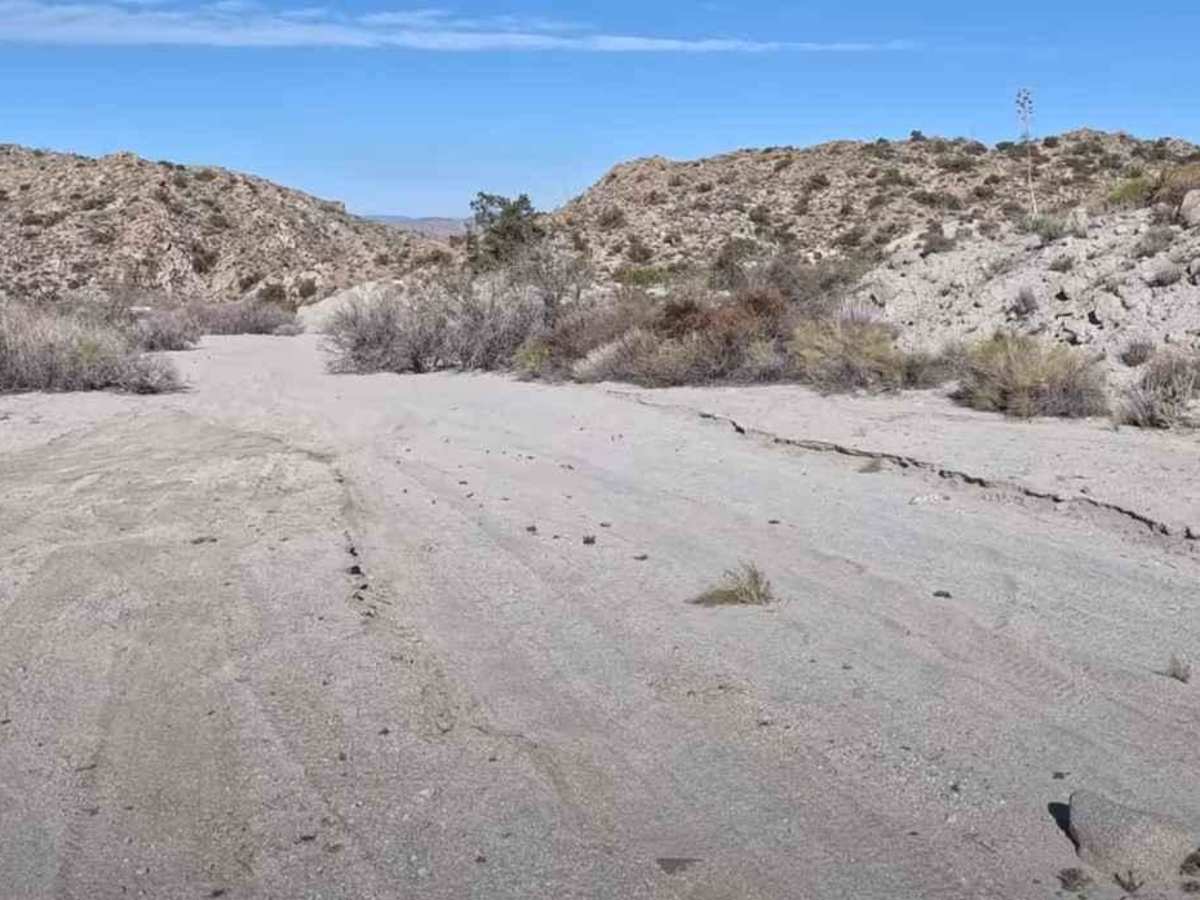Pinyon Mountain Road photo 6