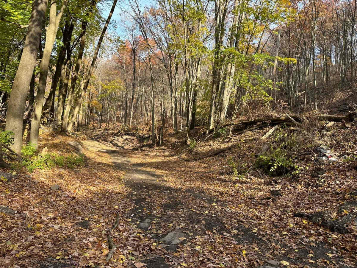 Ashland 2 photo 4