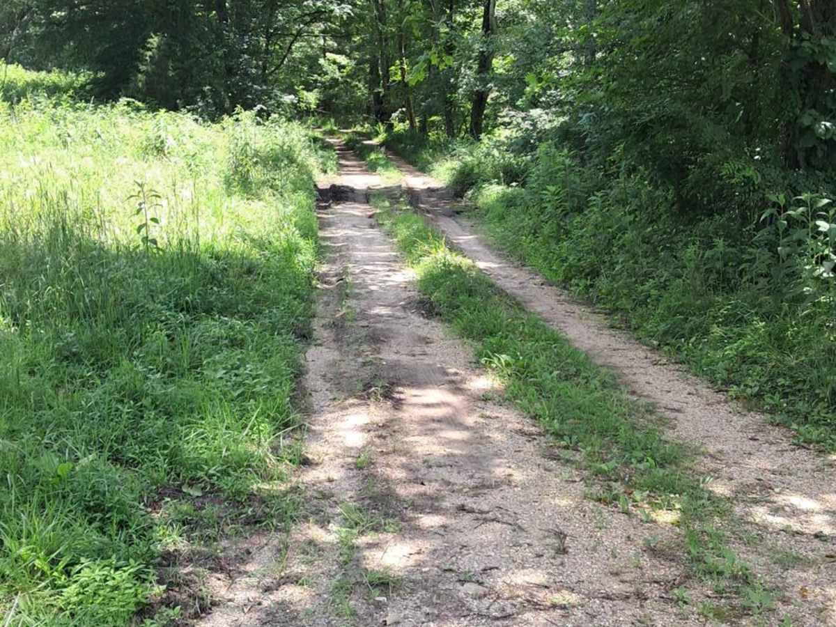 Bear Creek Road photo 5