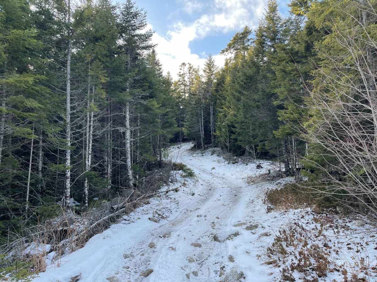 Quack Lake Road photo 6