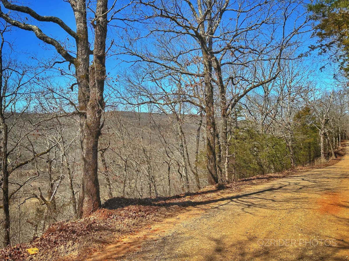 Pannell Road photo 2